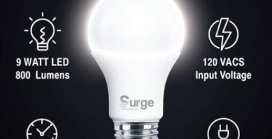 Surge Emergency Bulb Reseña